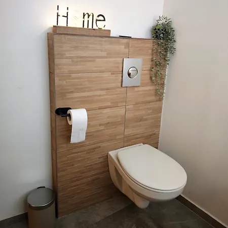 Dream/erstein/3p/60m2 Erstein